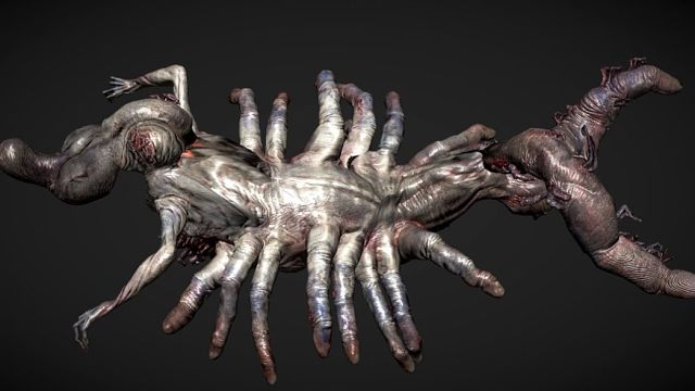 法环：无上意志女儿赏析