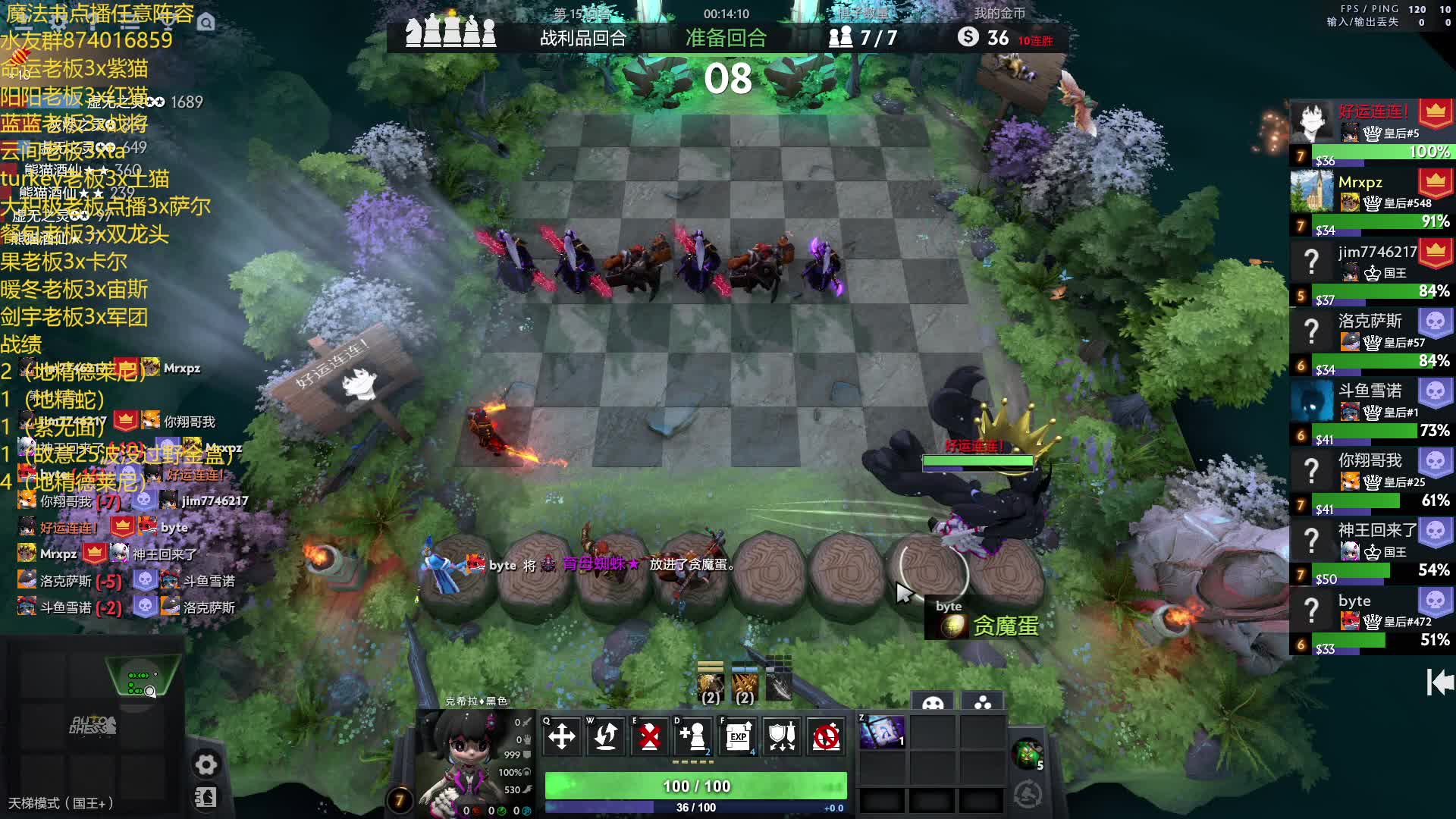 命运老板点播 30只猫的故事！