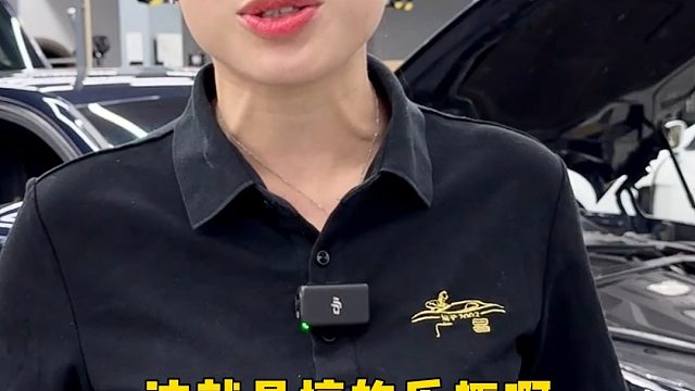 帕拉梅拉大哥来了好几次广昌就为了搞这几个项目