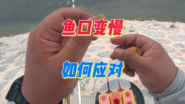 野钓时突然鱼口变慢，甚至是停口咋办？用这几种方法测试是否有鱼