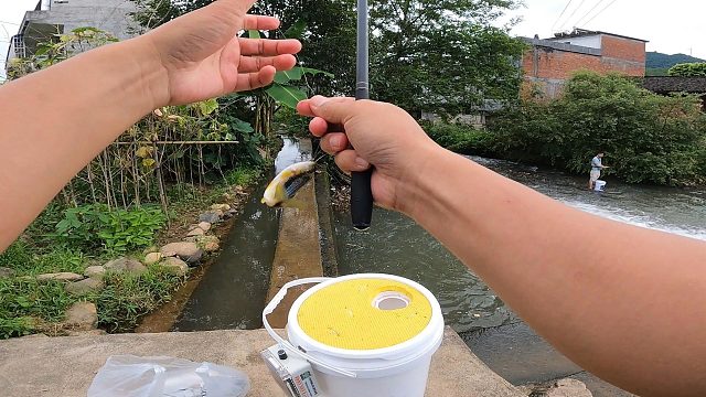 真没想到，这个位置资源这么好，连杆上鱼