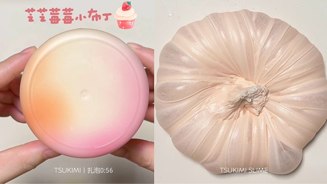 《芝芝莓莓小布丁》