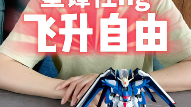 星锋社hg飞升自由来啦！这波如何！？