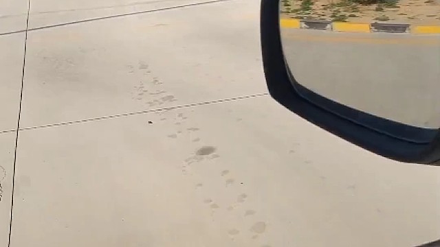 科目二倒库掌握30公分，灵活调整入库！#驾校学车 #科目二 #考驾照