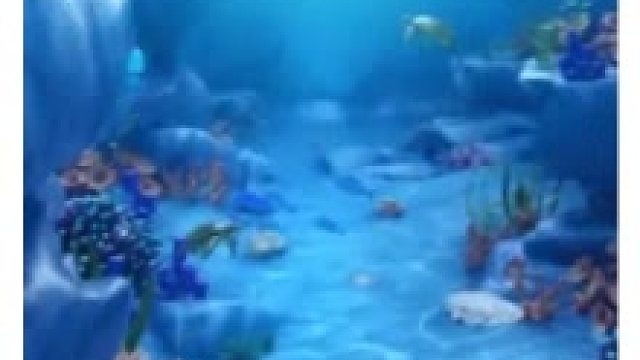 函水哥哥，波比~