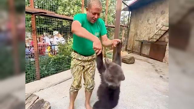 《奥列格园长和小熊跳舞》