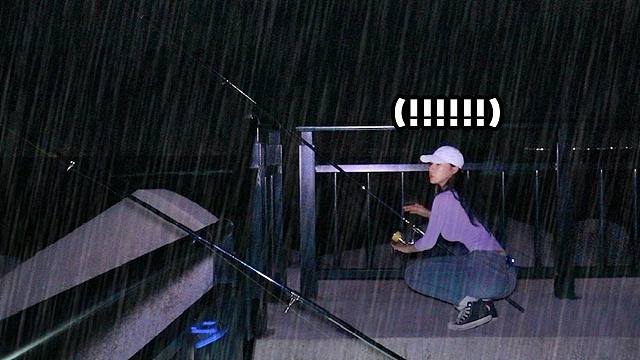 韩国美女深夜钓鳗鱼挑战！各种鱼类层出不穷，真是大开眼界！