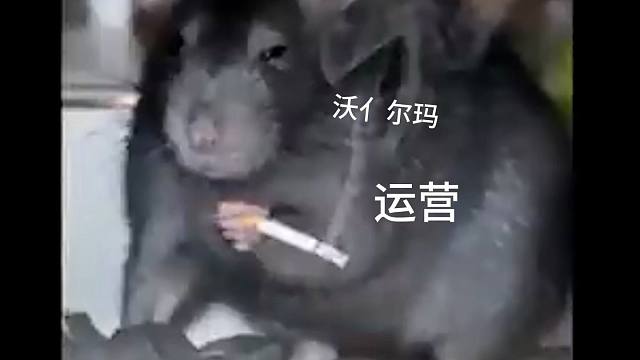 【Q9CODM】当总决赛输了后Belike