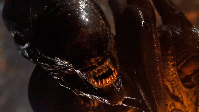 【IGN】电影《异形：夺命舰》宣传视频