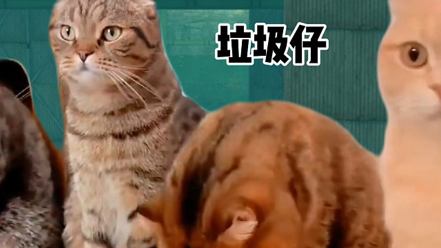 《请选择你的地铁逃生队友》