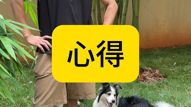 选择合适自己狗很重要