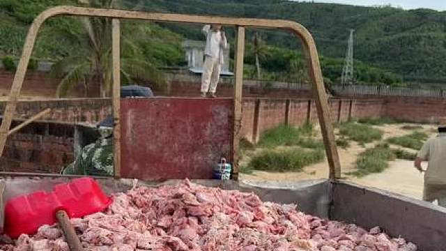 还得是我强哥……