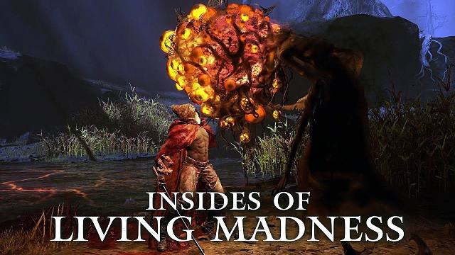 法环：欣赏一下禁触老翁