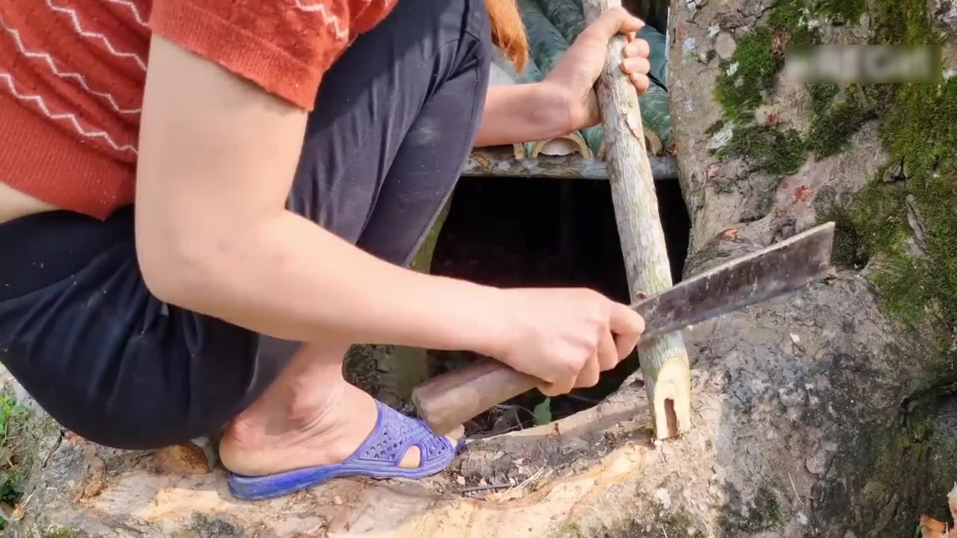 女人竟然独自在一个狭窄的树洞中生活