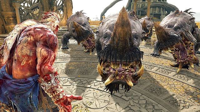 法环：5头河马VS全BOSS