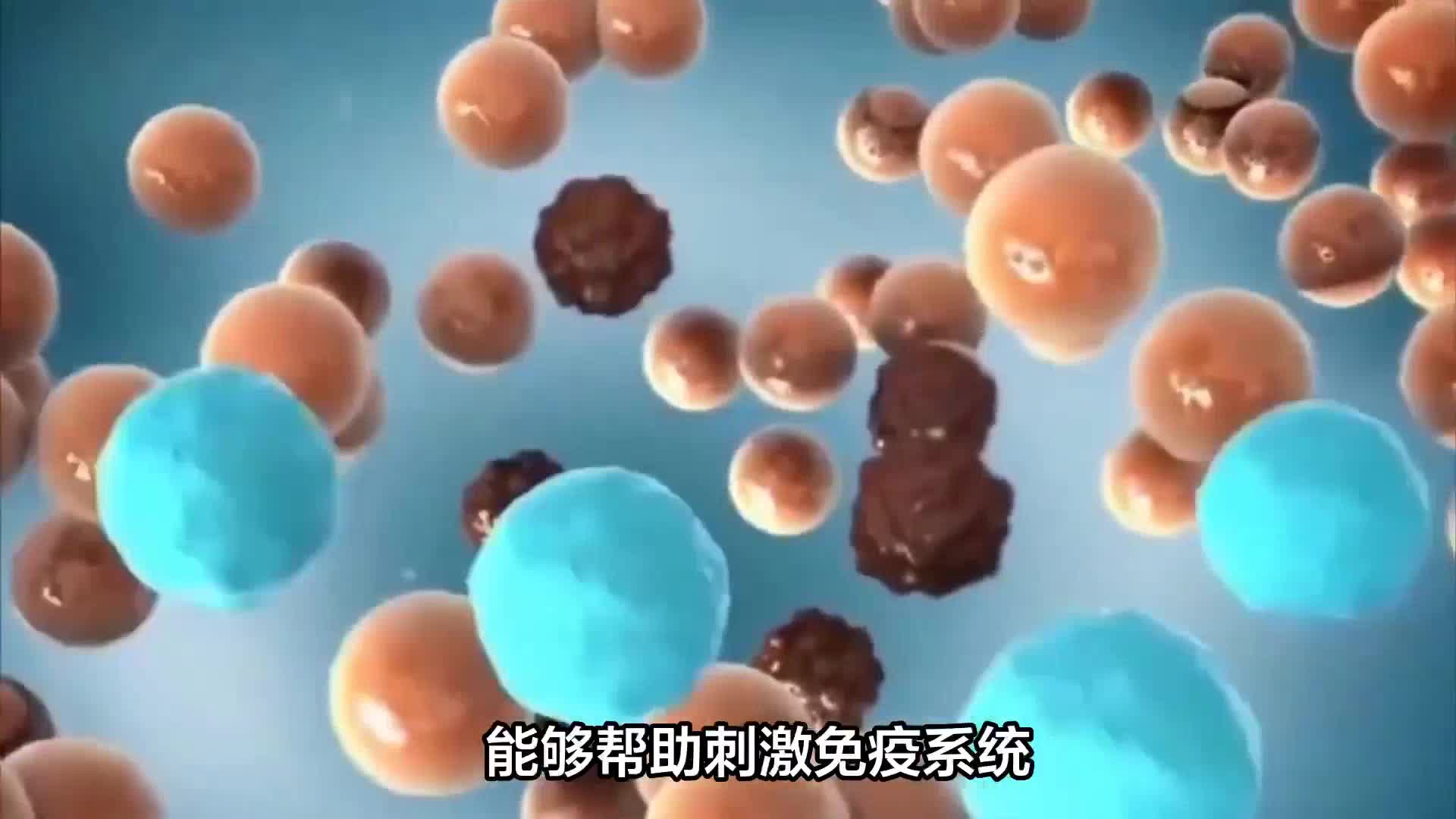 免疫黄金泛菌糖脂质深度唤醒免疫细胞！