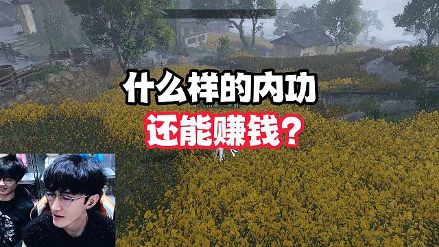 什么样的内功还能赚钱？