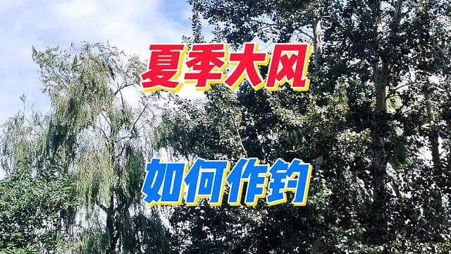 立秋之后天气依然炎热，遇大风天如何作钓？关键是在选位上