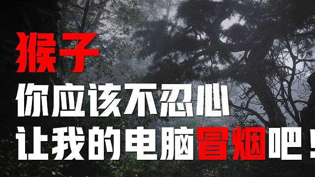画质为王，黑神话悟空测试程序展现惊人画面效果！
