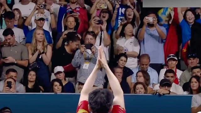 樊振东你在舞台中央真的是11次领掌耶~送给From Paris to Paris勇敢的自己““那些幸