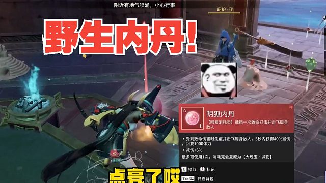 8月14日 咦？捡到一颗野生内丹！