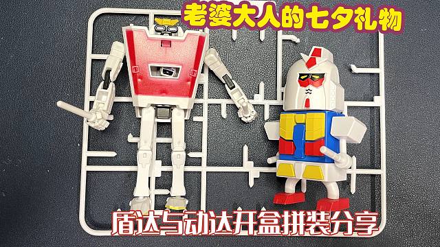 老婆大人的七夕礼物！盾达与动达开盒拼装分享