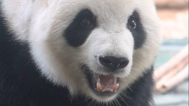 糟糕！是心动的感觉