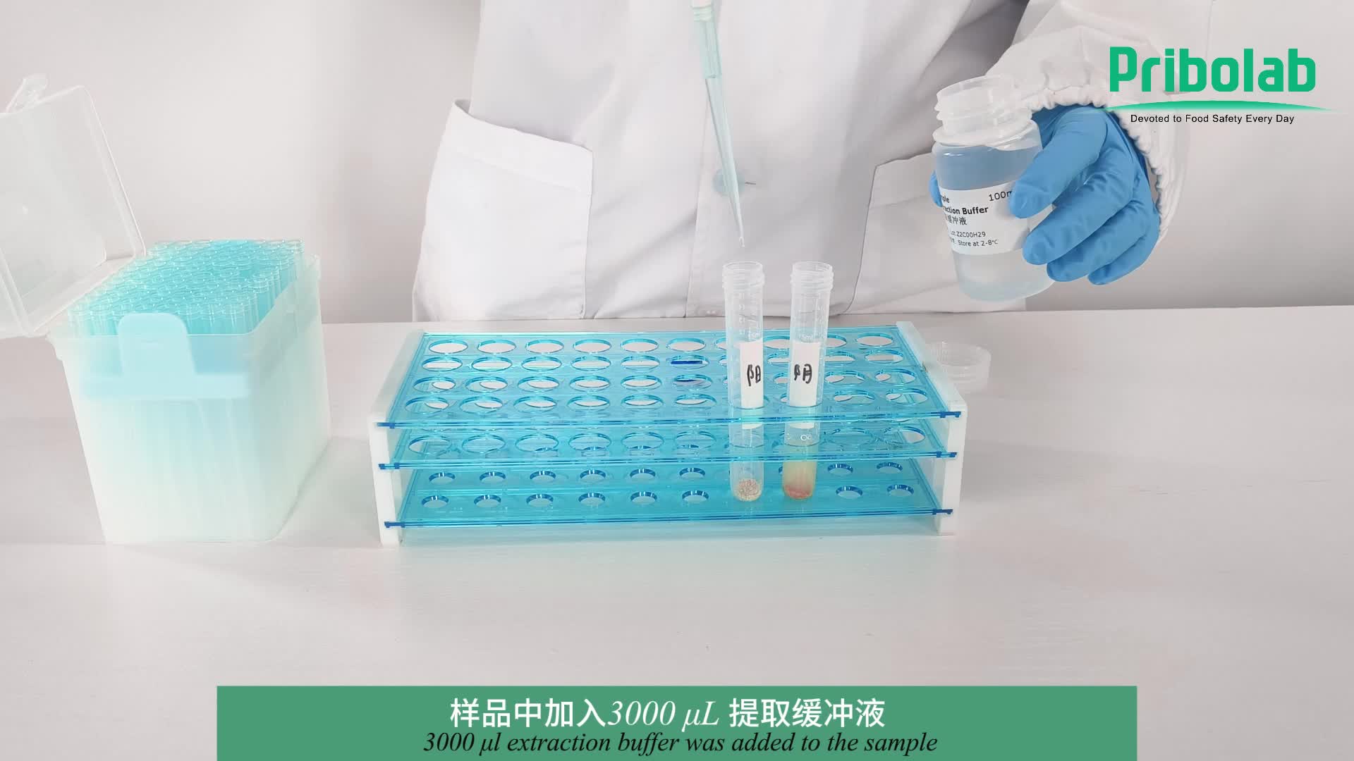 转基因快速检测试纸条操作