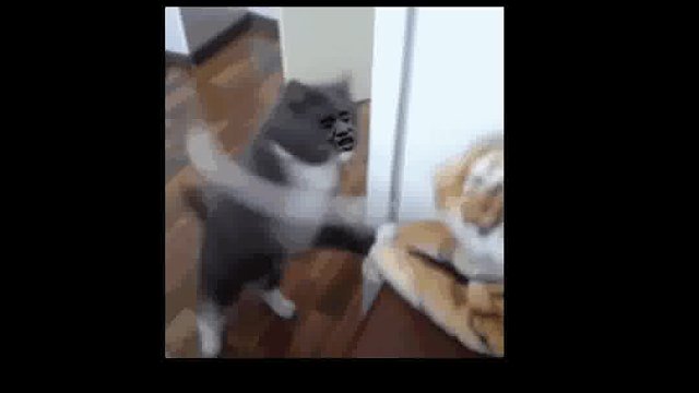 我高手胡桃也是你们能惹的吗！