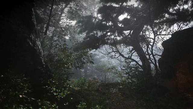 【虾米】黑神话悟空，帧生成，虾说+水视频