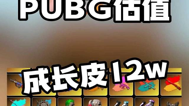 PUBG估值鉴定