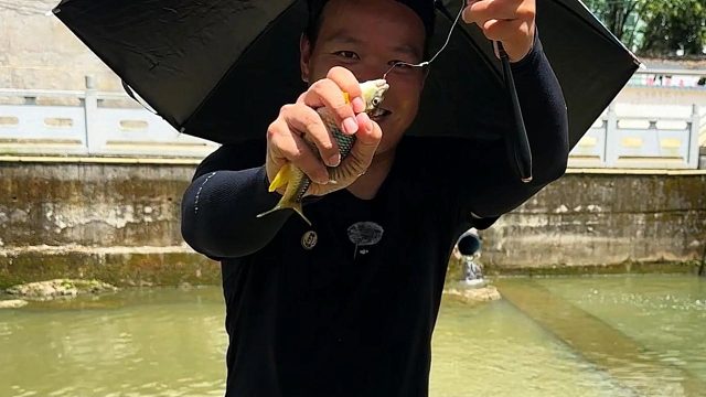 真是收获满满，水坝下面石斑鱼不是一般的多，一小时两斤