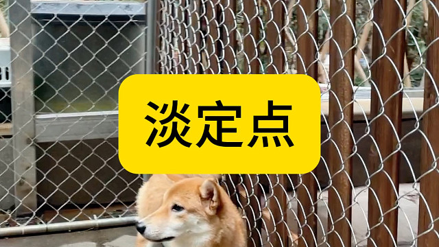 淡定点 都会过去的