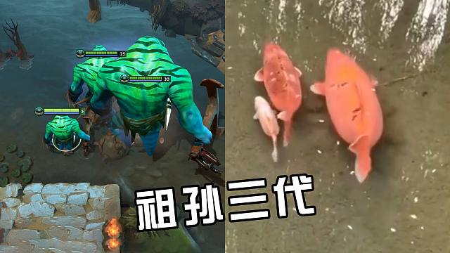 潮汐：我来看看怎么个事？