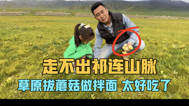 走不出祁连山脉，草原拔蘑菇做拌面，太好吃，一家三口房车旅行玩嗨了