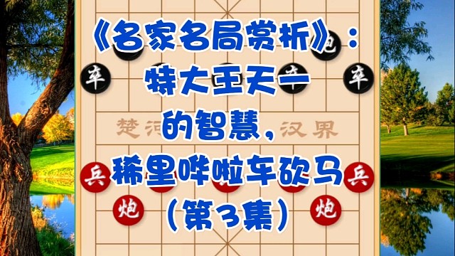《名家名局赏析》：特大王天一的智慧，稀里哗啦车砍马（第3集）