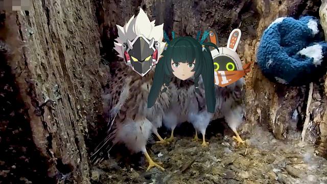 【绝区零】抓住一只青衣