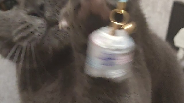 邪恶哈吉米入侵世界