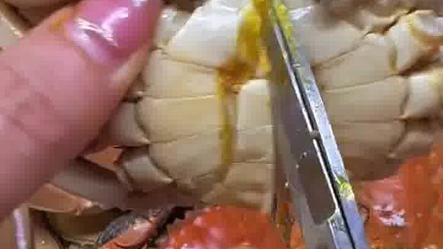 非常肥美的河蟹。