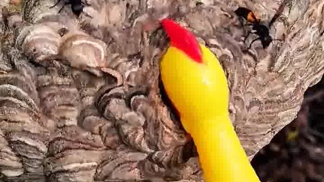 这是人干的事？啊？