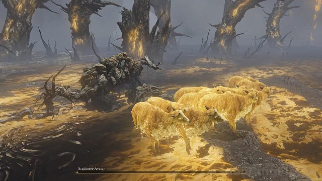 《黄金树幽影》雷羊能征服幽影之地吗？