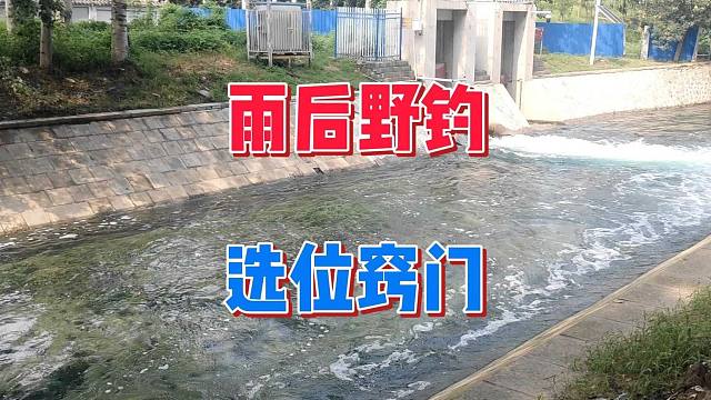 雨后野钓为啥也会空军？选位上有小窍门，一秒判断水下有没有鱼