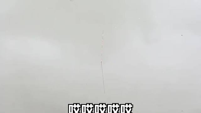 学习手竿钓鱼，看我的新手光环…