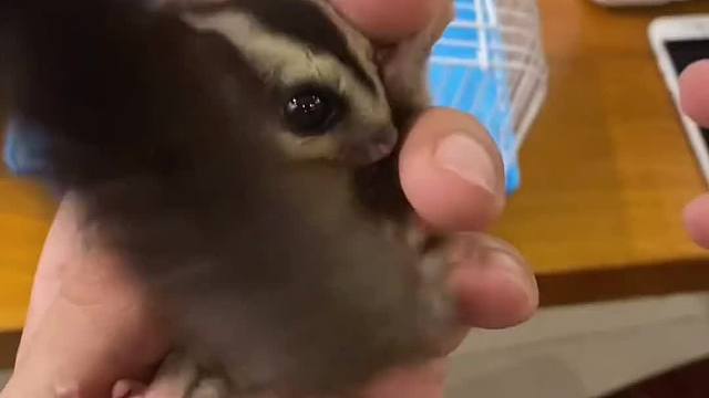 比一开始好太多了，作业不及格呜呜，自己都上火