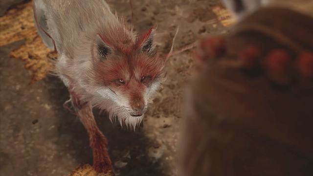 黑神话第二章狐狸与书生还有后续！游科真会藏啊！