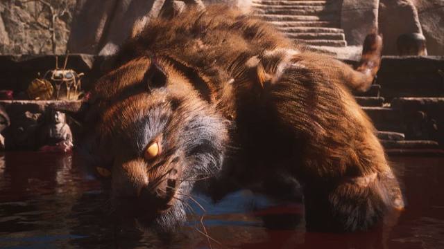 屹立不倒！极致折磨，16周目拿下虎先锋！