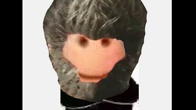 电脑里有一款加载着色器会闪退的游戏