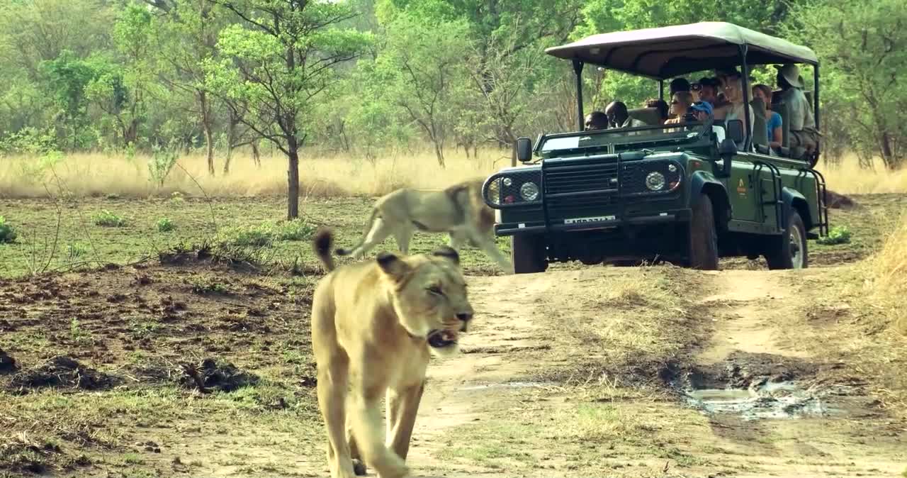 10、目的地之赞比亚Destination Zambia- International_中文