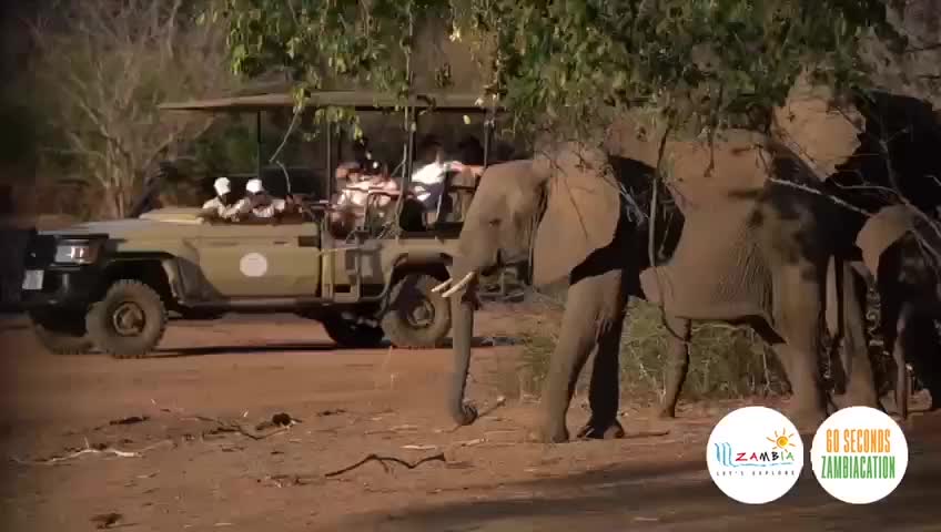 11、赞比亚宣传片_中文