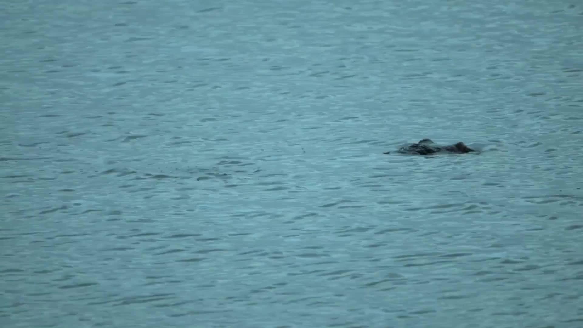 20、卢旺达宣传片_中文